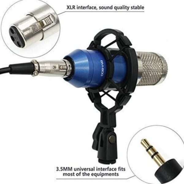 Condenser Microphone BM 800