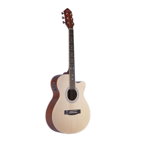 Hertz 4000 Semi Acoustic Guitar - Image 3