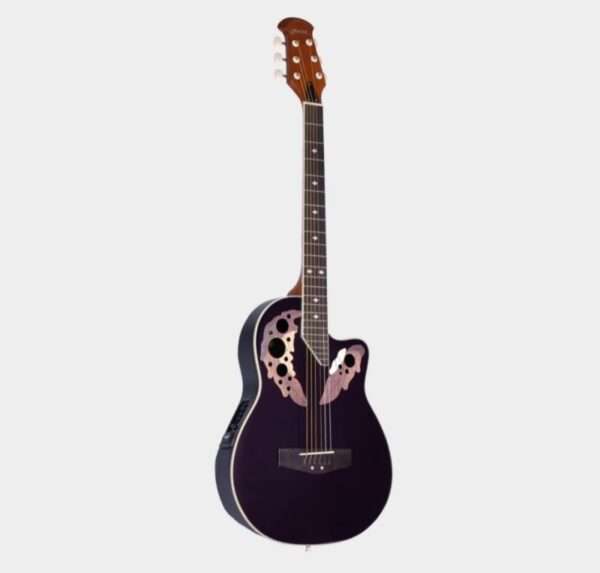 Hertz 3801 Semi Acoustic Guitar